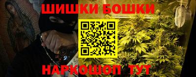 сатива Краснознаменск