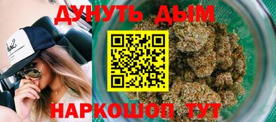 сатива Краснознаменск