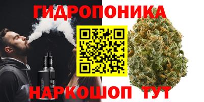 сатива Краснознаменск