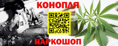 сатива Краснознаменск